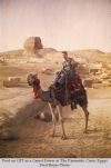 Fred the Camel Driver