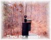 Thru the woods